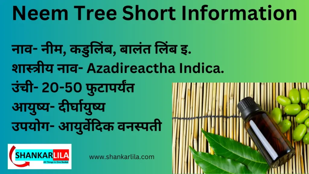 essay on neem tree in marathi