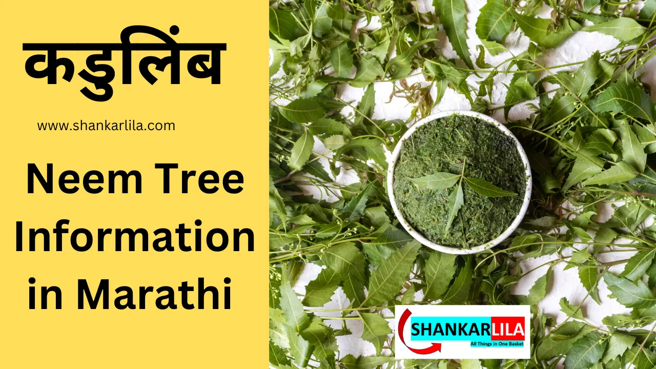 Neem Tree Information in Marathi